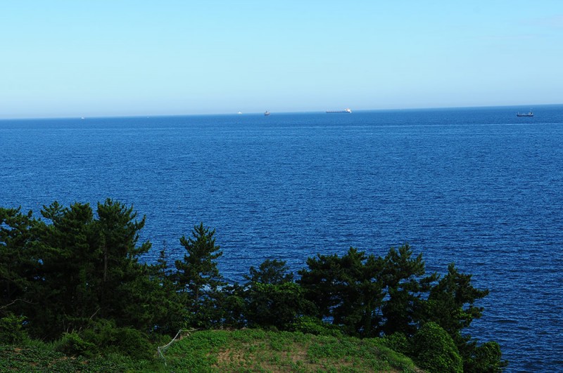 DSC_0610.jpg